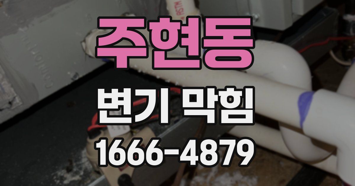 주현동 변기 막힘