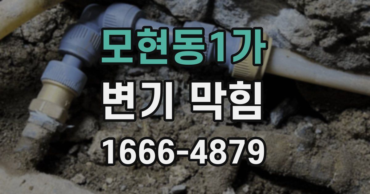 모현동1가 변기 막힘