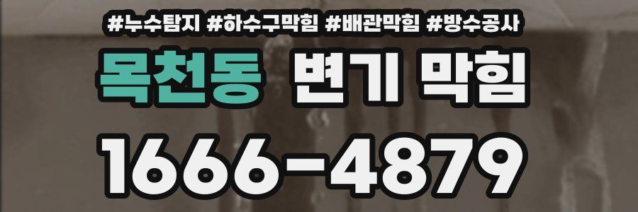 목천동 변기 막힘