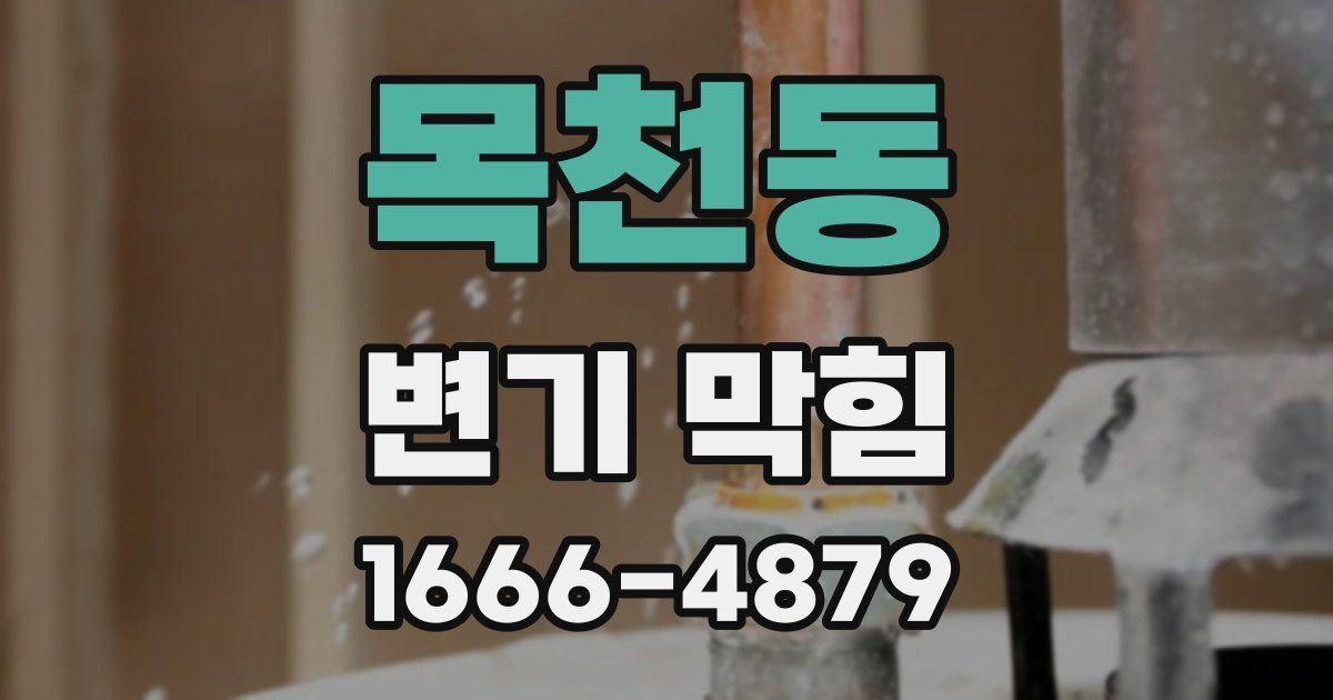 목천동 변기 막힘
