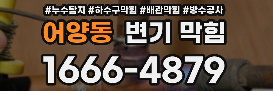 어양동 변기 막힘
