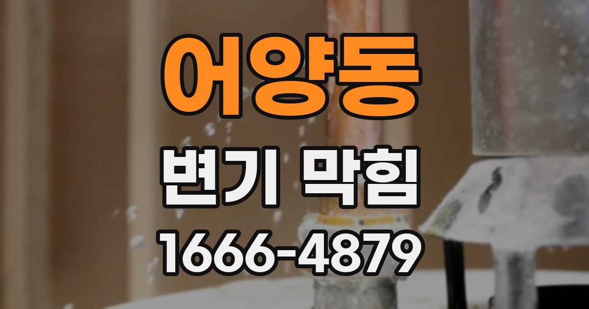 어양동 변기 막힘