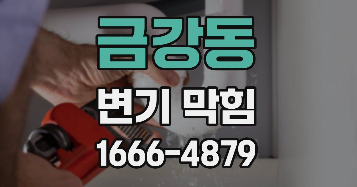 금강동 변기 막힘