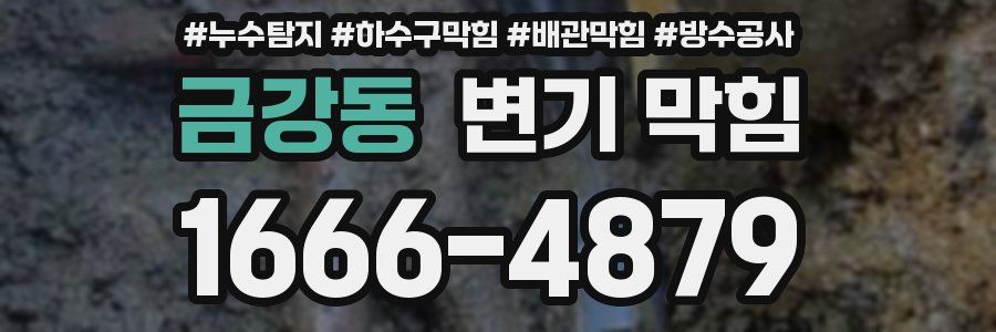 금강동 변기 막힘