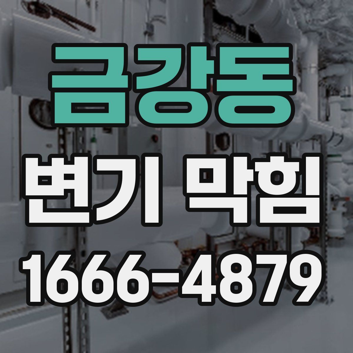 금강동 변기 막힘