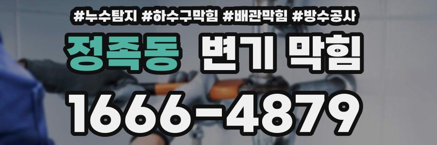 정족동 변기 막힘