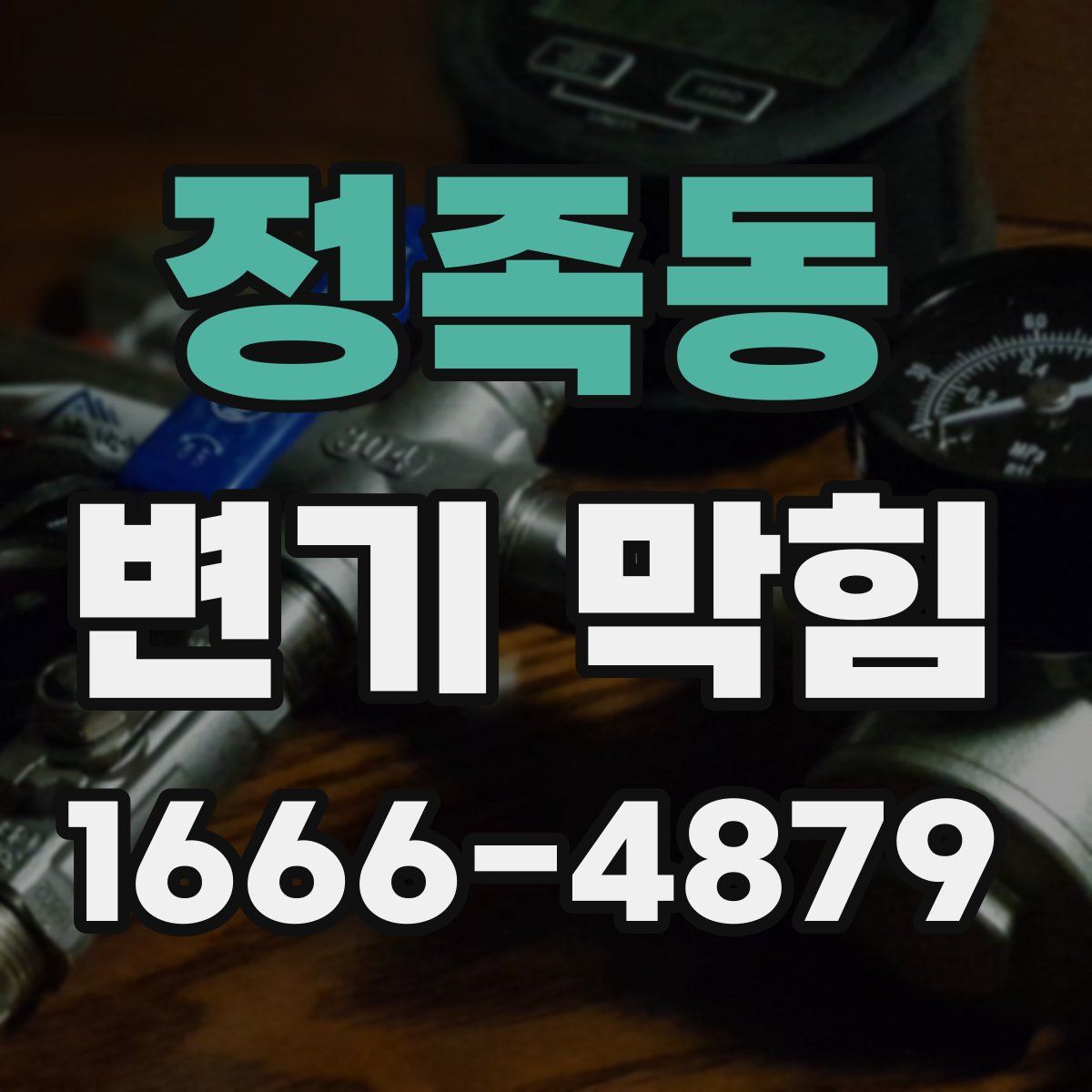 정족동 변기 막힘