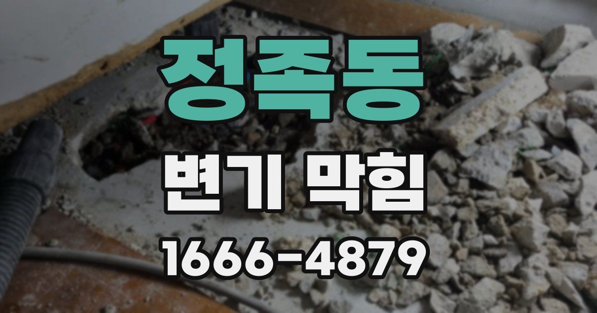 정족동 변기 막힘