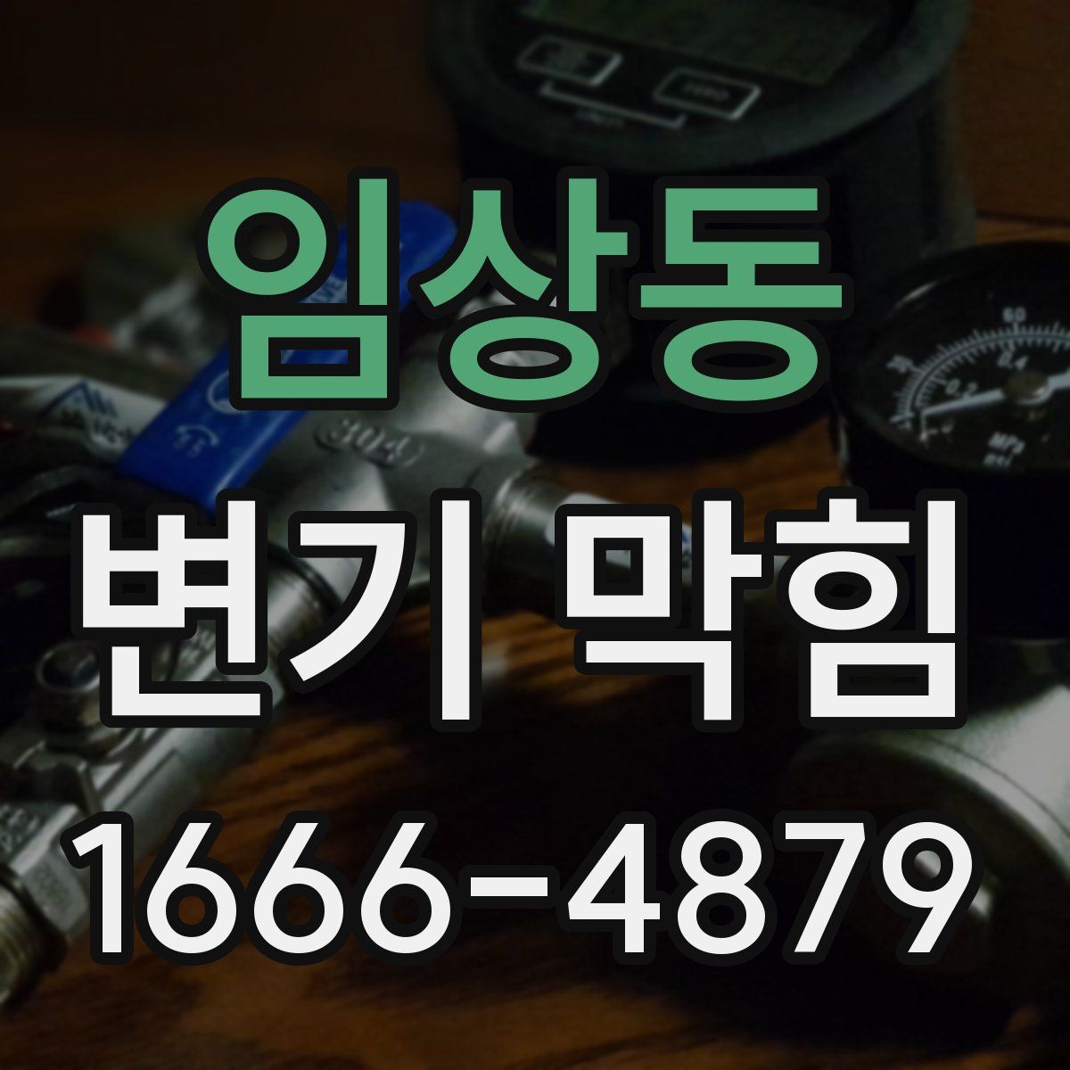 임상동 변기 막힘