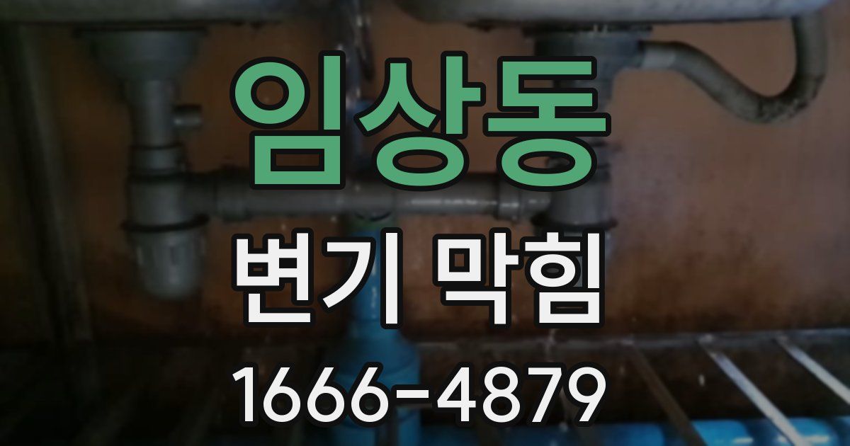 임상동 변기 막힘