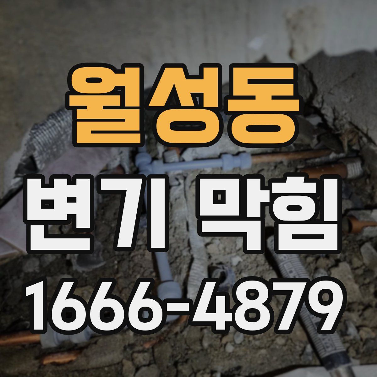 월성동 변기 막힘