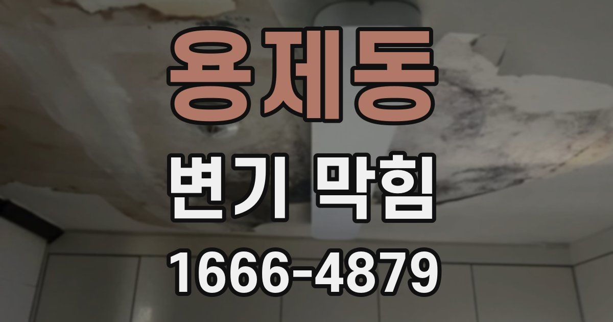 용제동 변기 막힘