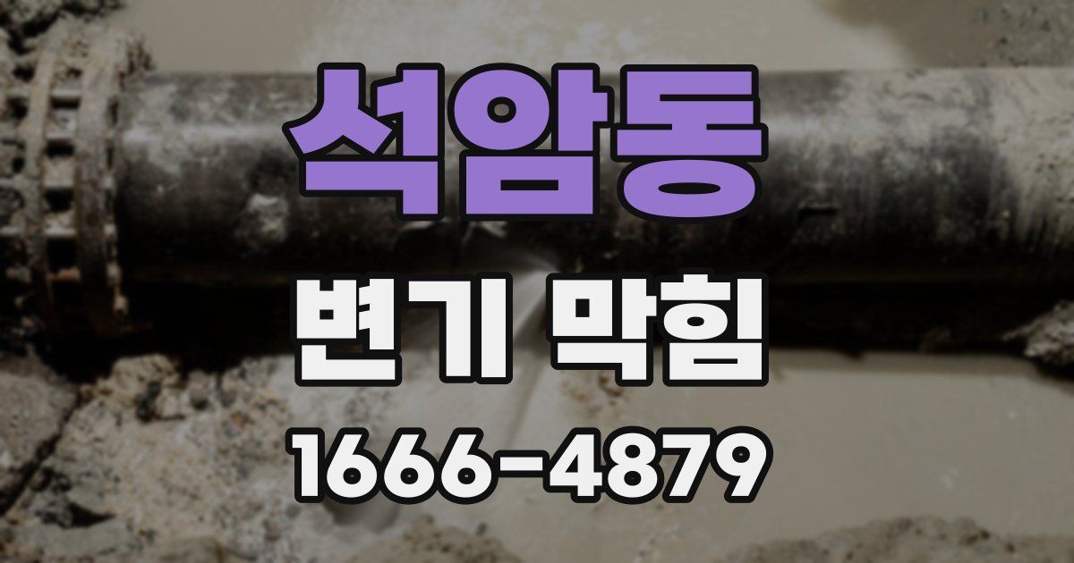 석암동 변기 막힘