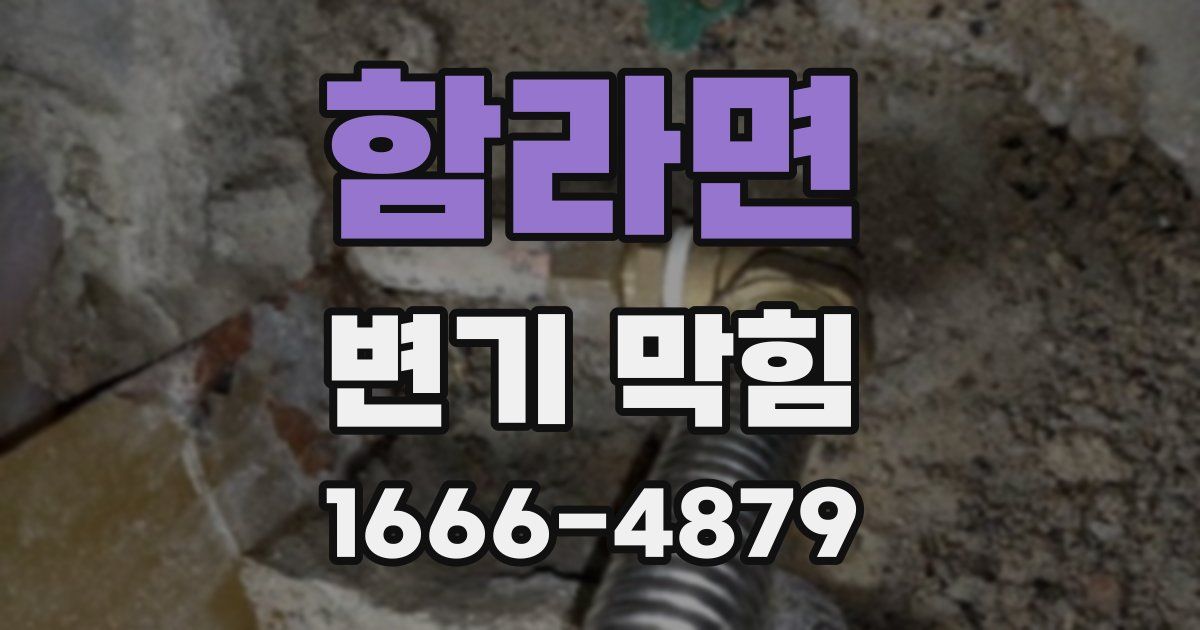 함라면 변기 막힘