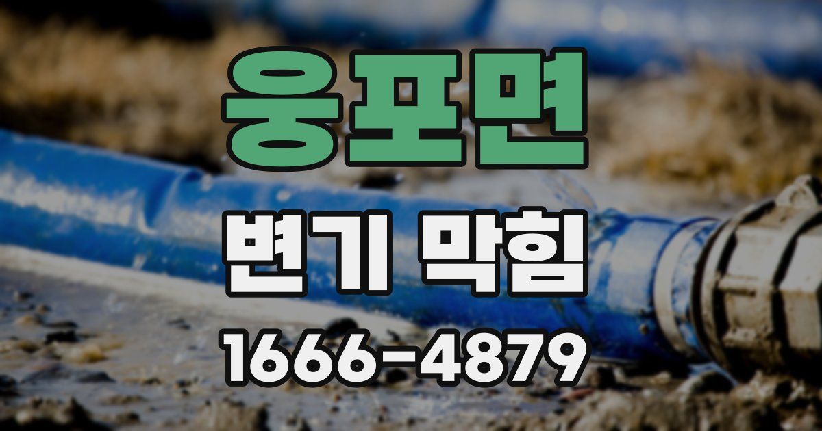 웅포면 변기 막힘