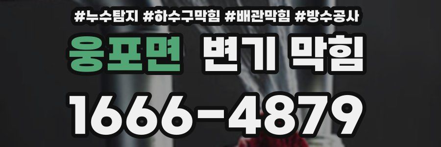 웅포면 변기 막힘
