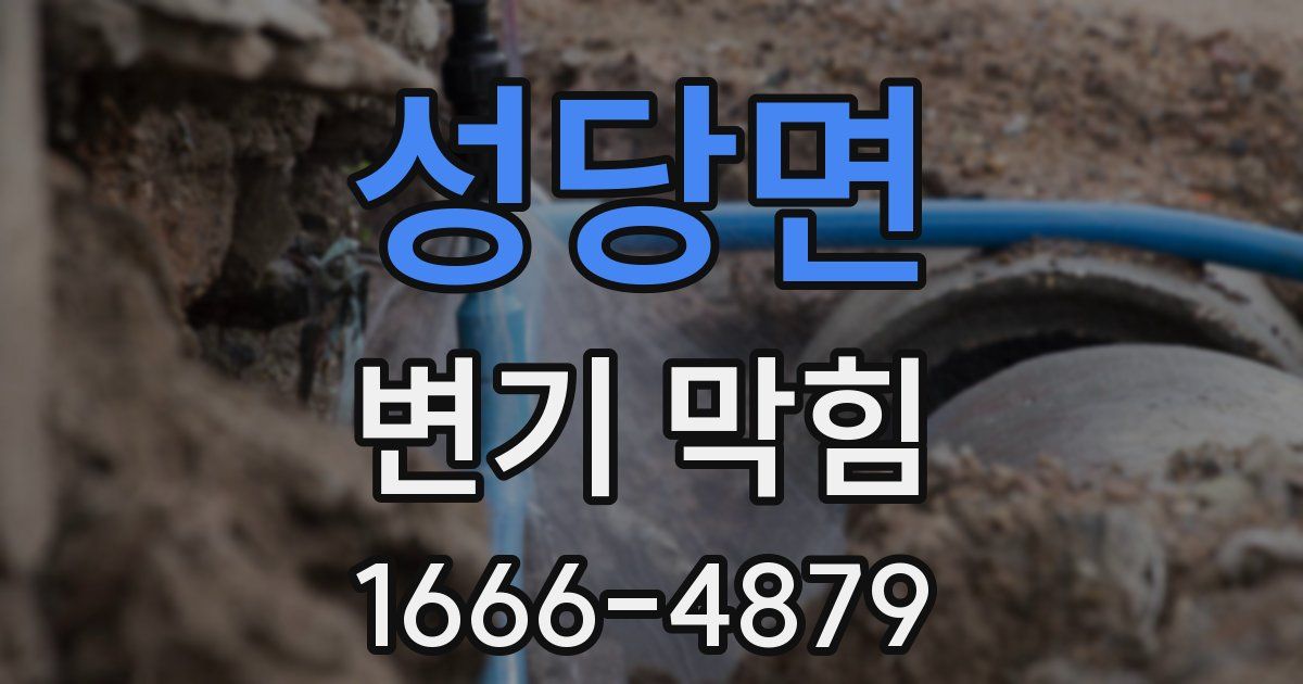 성당면 변기 막힘