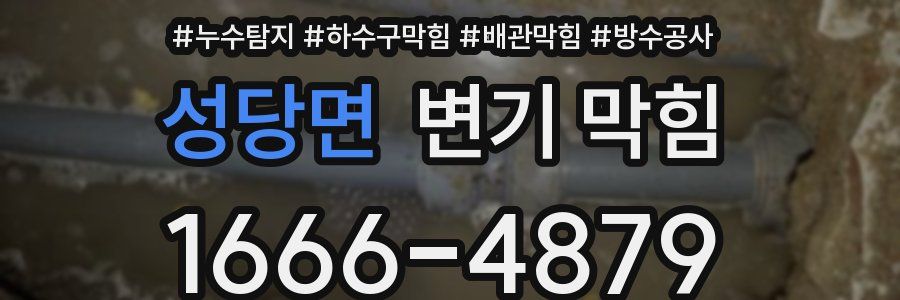 성당면 변기 막힘
