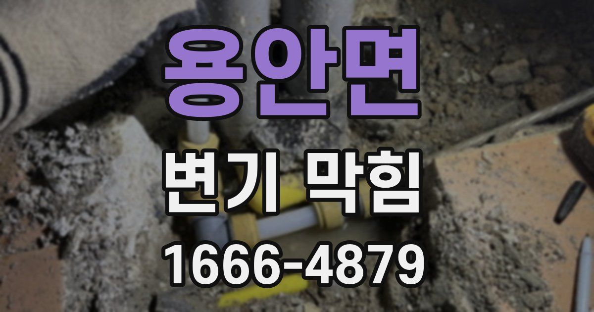 용안면 변기 막힘