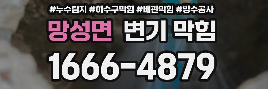 망성면 변기 막힘