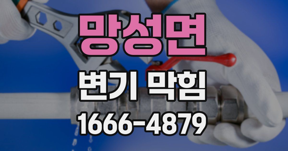망성면 변기 막힘