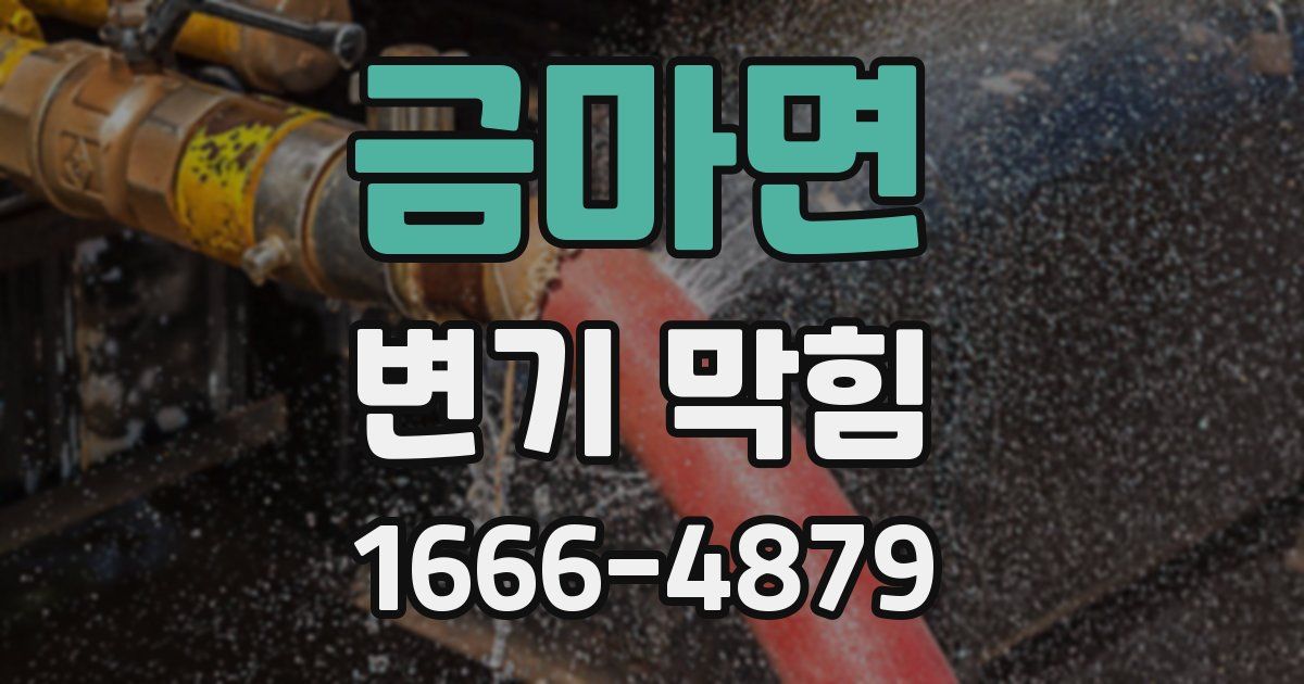 금마면 변기 막힘