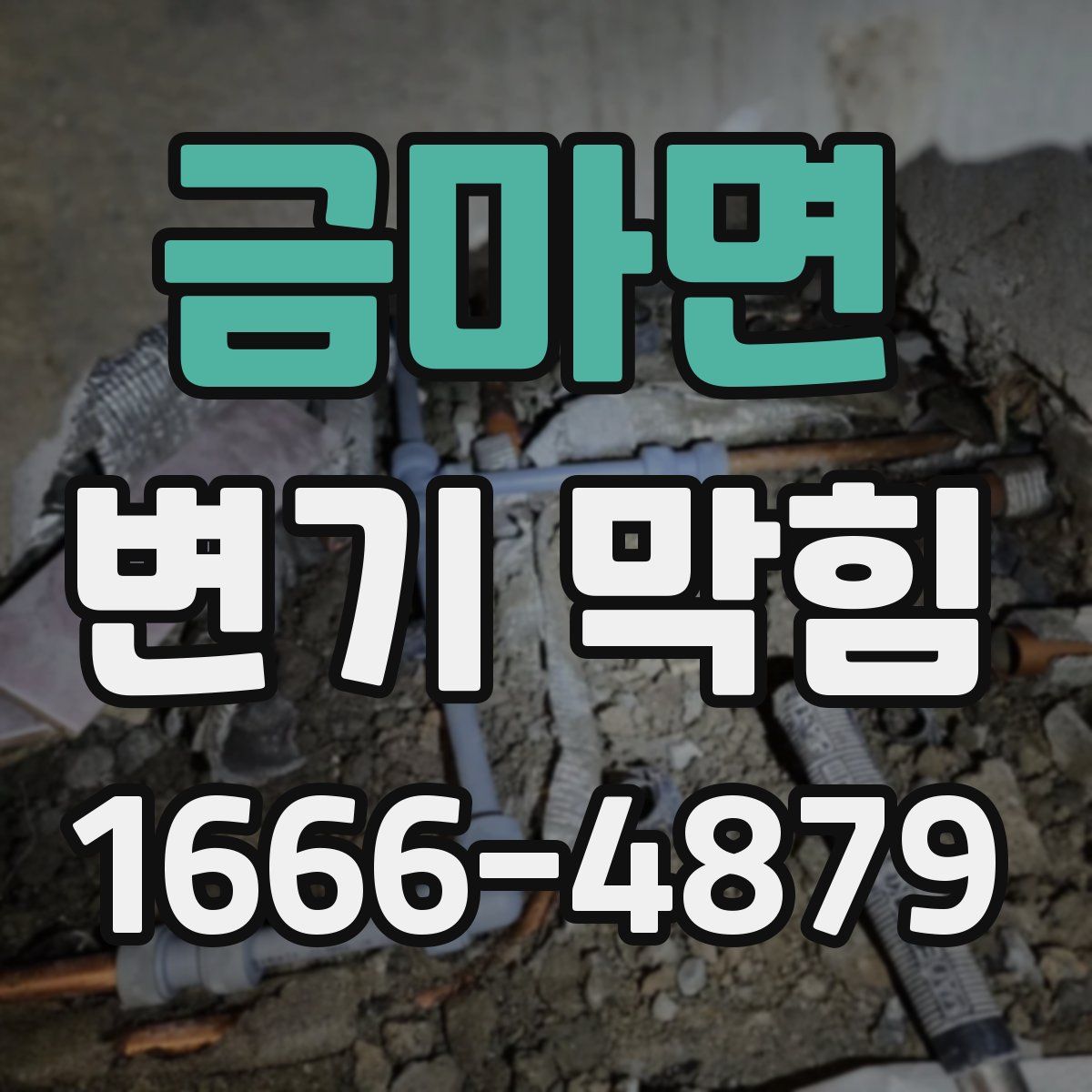 금마면 변기 막힘