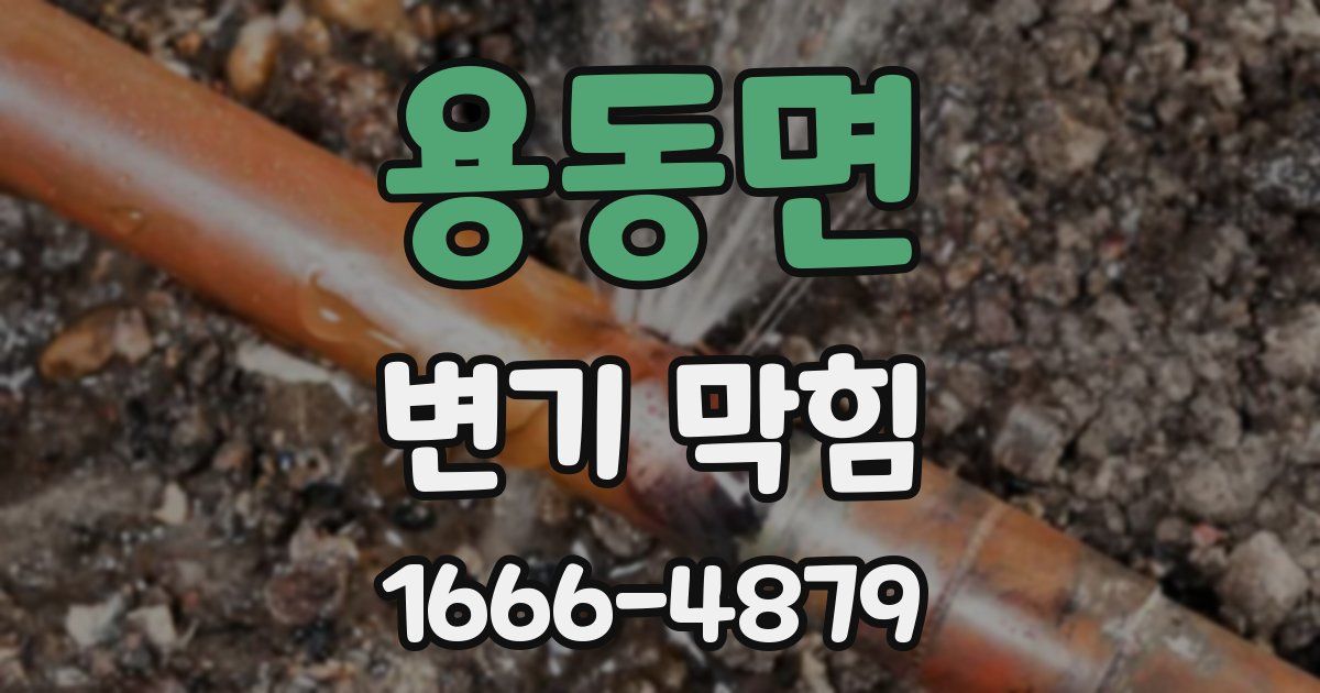 용동면 변기 막힘