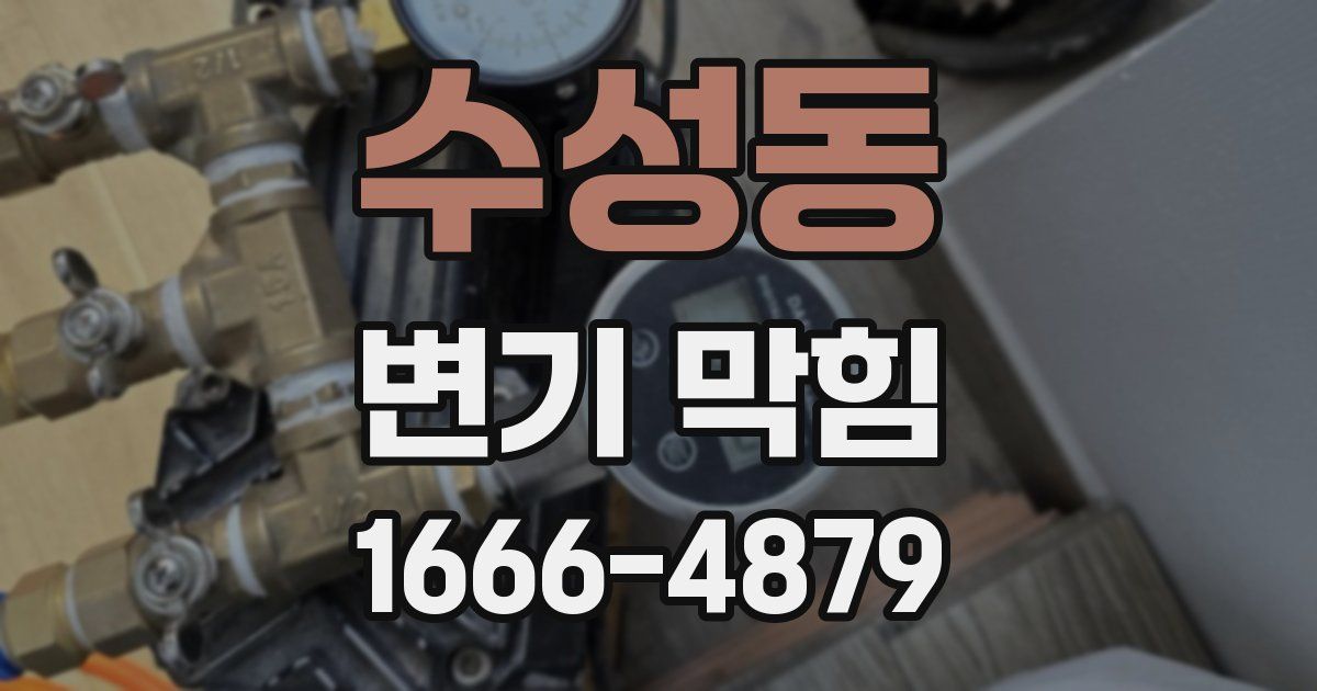 수성동 변기 막힘