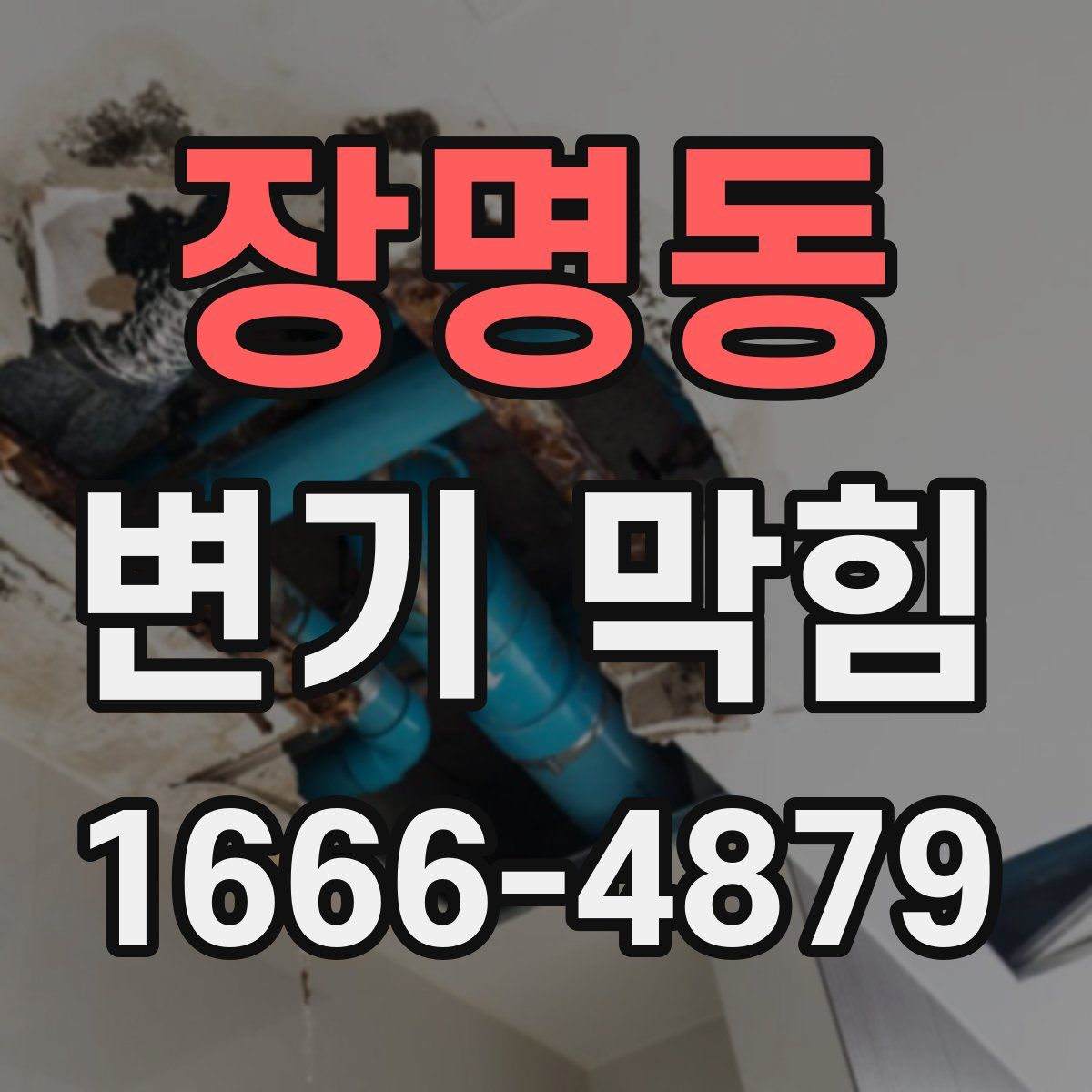 장명동 변기 막힘