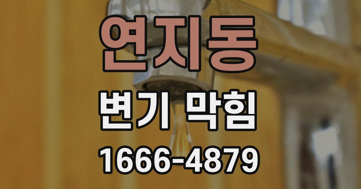 연지동 변기 막힘
