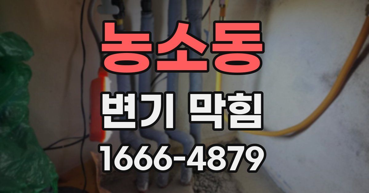 농소동 변기 막힘