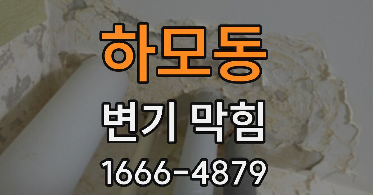 하모동 변기 막힘