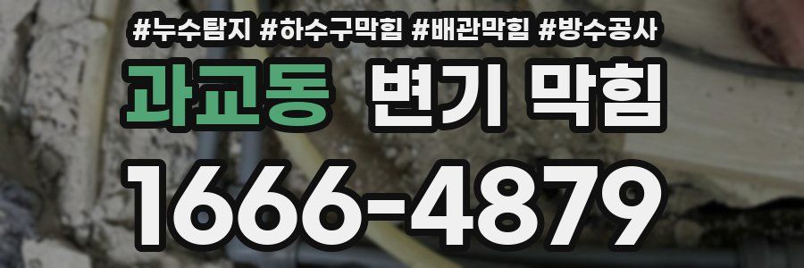 과교동 변기 막힘