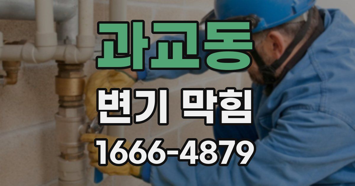 과교동 변기 막힘