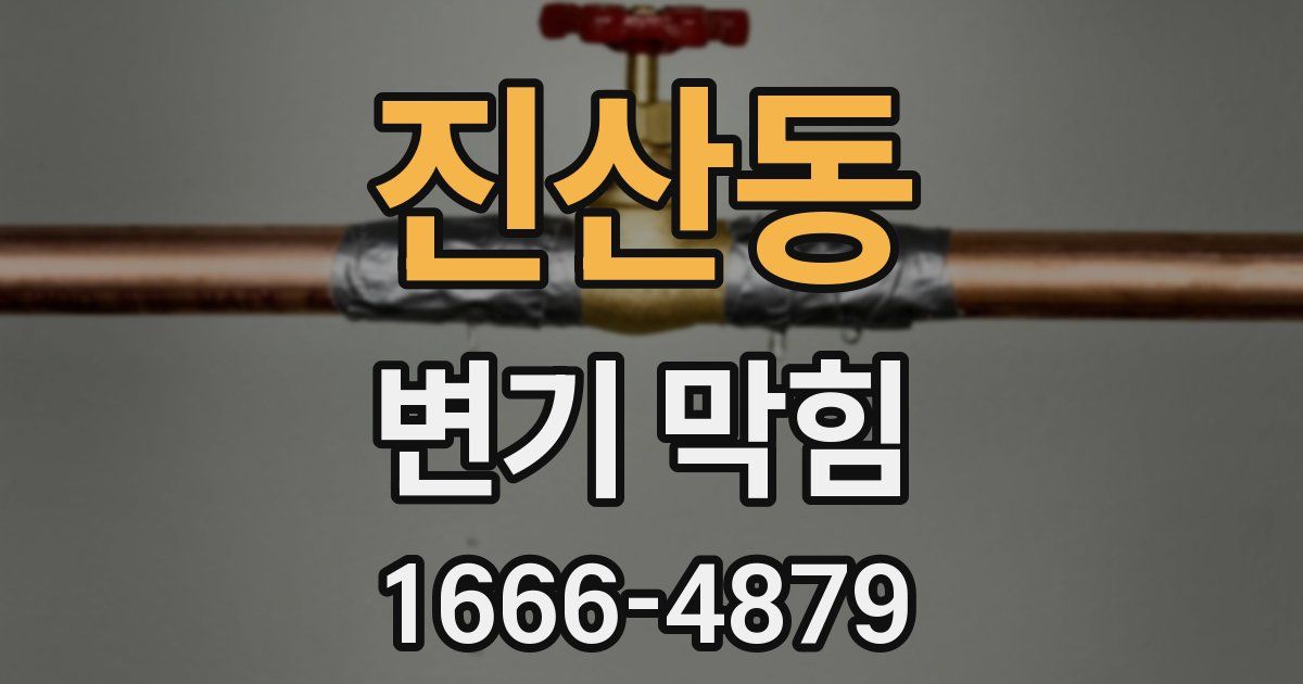 진산동 변기 막힘