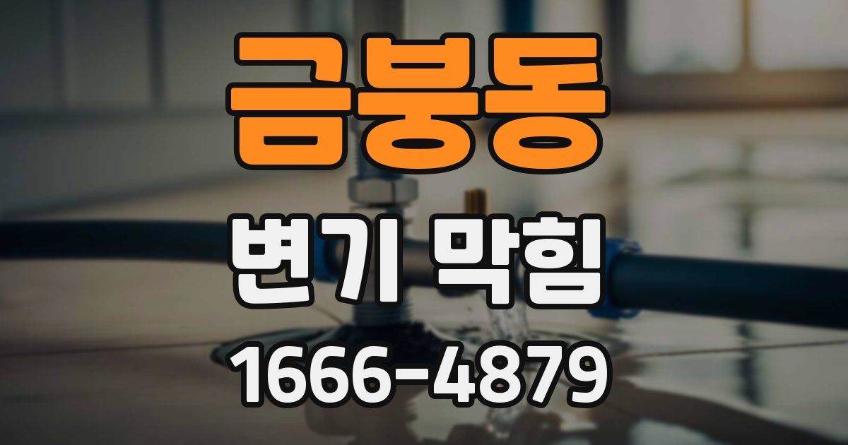 금붕동 변기 막힘