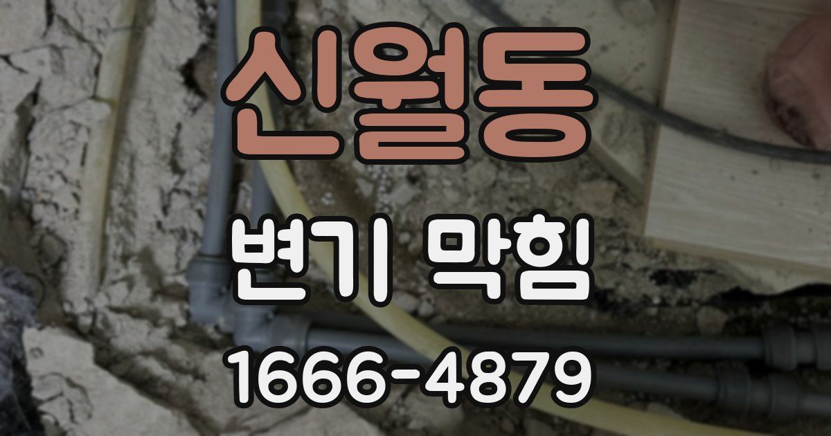 신월동 변기 막힘