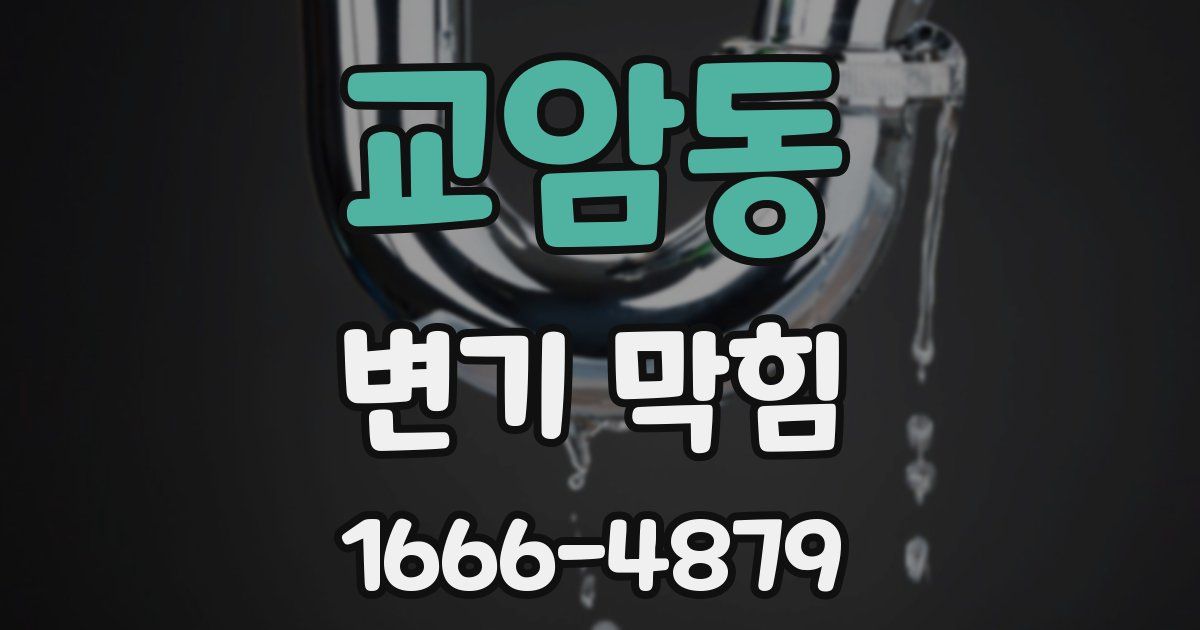 교암동 변기 막힘