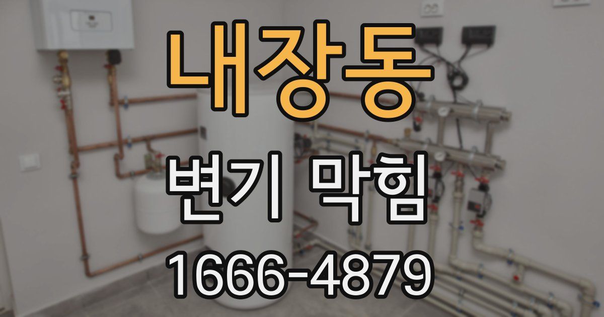 내장동 변기 막힘