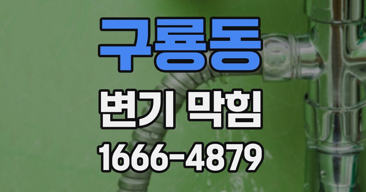구룡동 변기 막힘