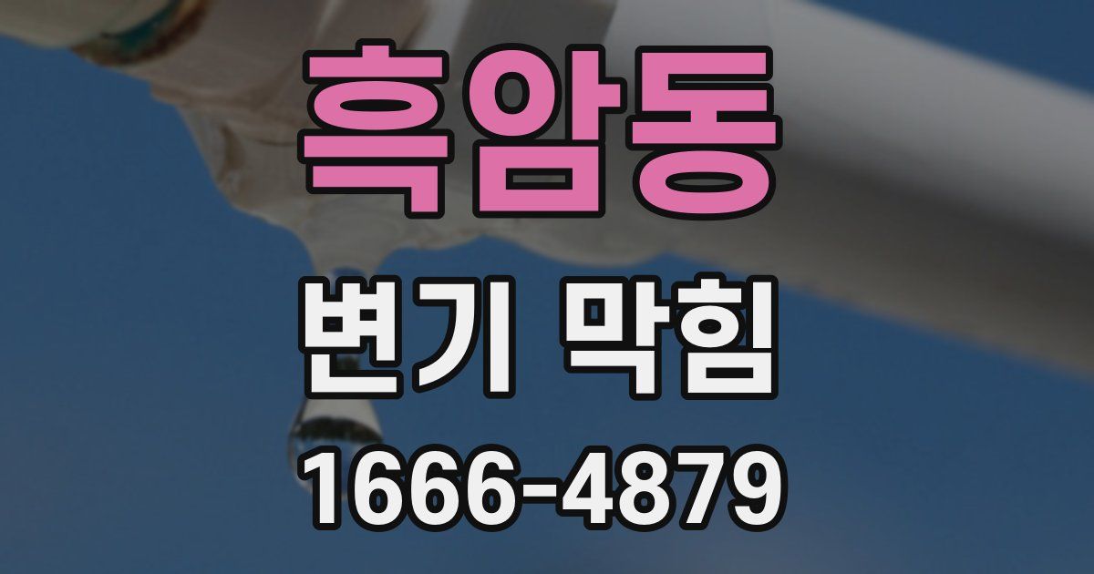 흑암동 변기 막힘