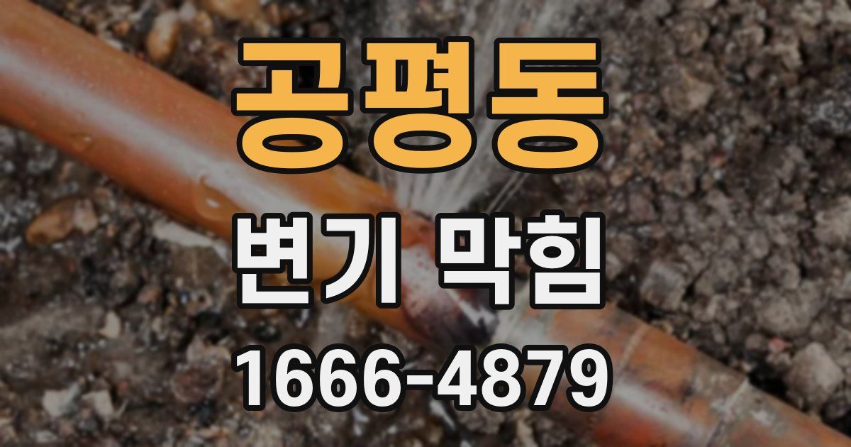 공평동 변기 막힘