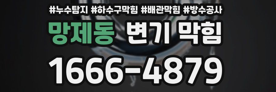 망제동 변기 막힘