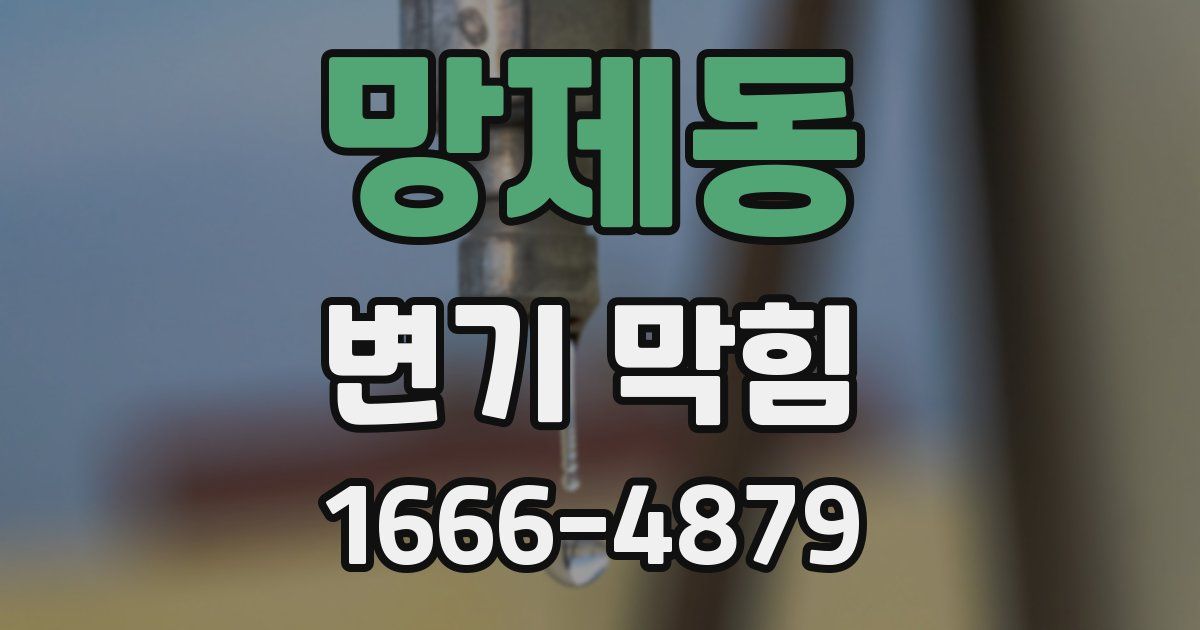 망제동 변기 막힘
