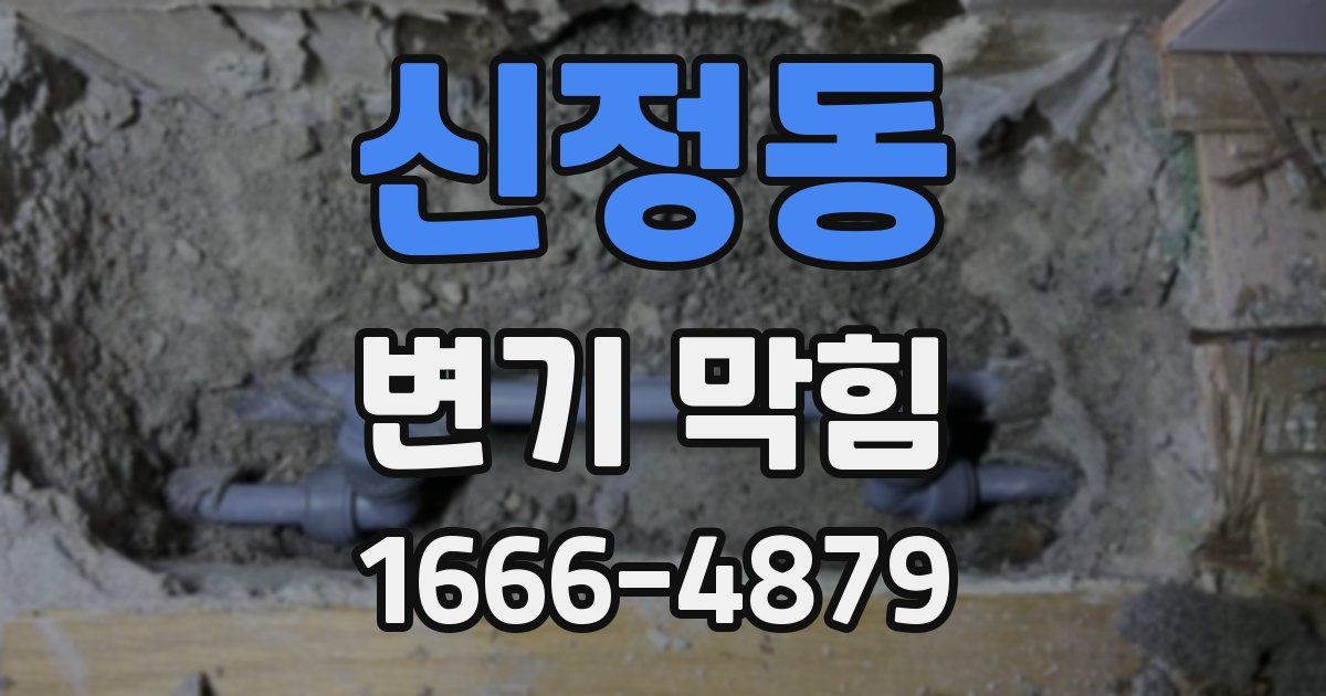 신정동 변기 막힘