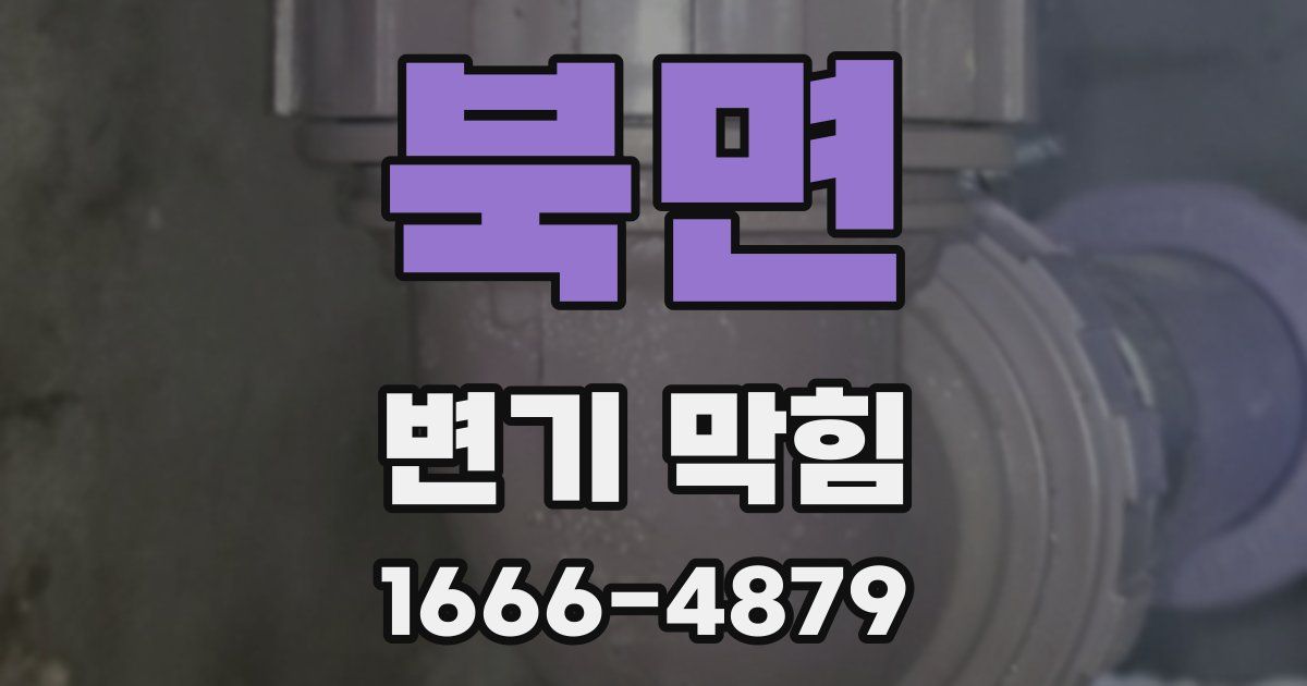 북면 변기 막힘