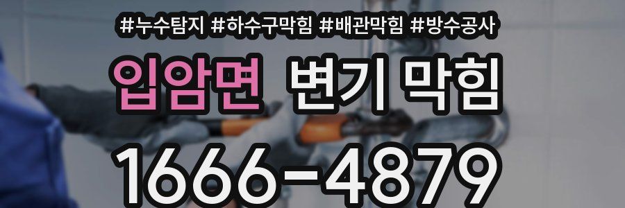 입암면 변기 막힘