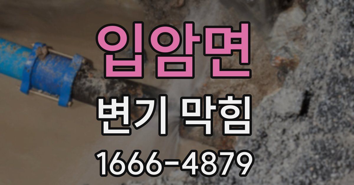 입암면 변기 막힘