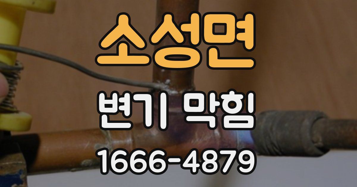 소성면 변기 막힘